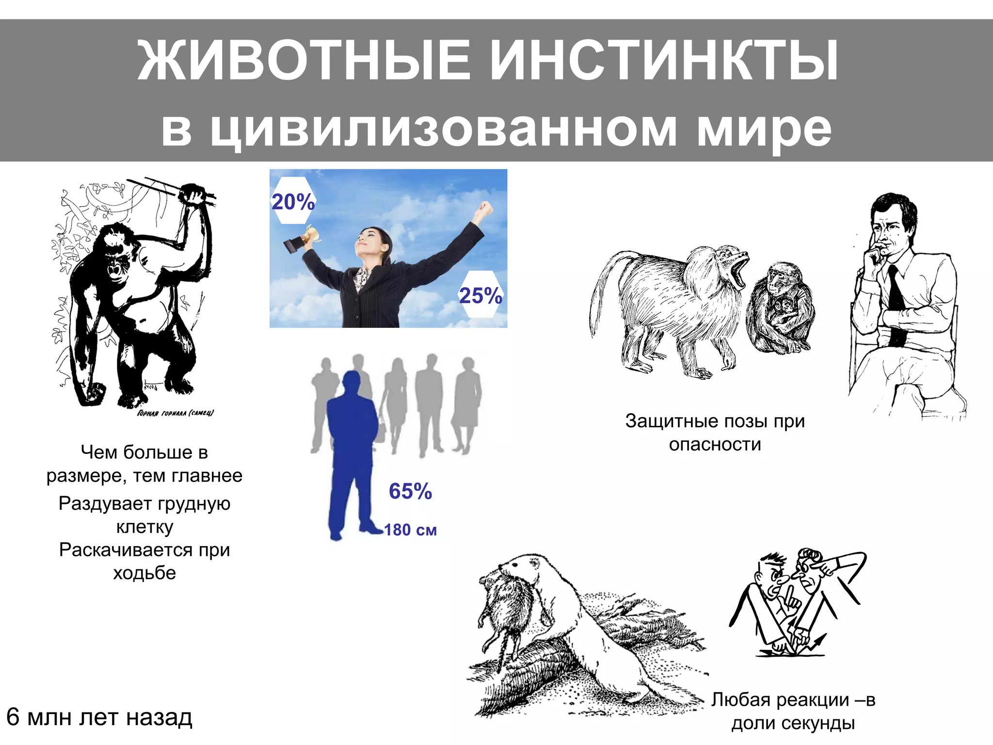 ЖИВОТНЫЕ ИНСТИНКТЫ
в цивилизованном мире
Чем больше в
размере, тем главнее
Любая реакции –в
доли секунды
Раздувает грудную
клетку
Раскачивается при
ходьбе
Защитные позы при
опасности
6 млн лет назад
20%
25%
65%
180 см
 