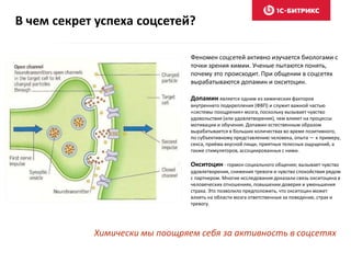 В чем секрет успеха соцсетей?
Феномен соцсетей активно изучается биологами с
точки зрения химии. Ученые пытаются понять,
почему это происходит. При общении в соцсетях
вырабатываются допамин и окситоцин.
Допамин является одним из химических факторов
внутреннего подкрепления (ФВП) и служит важной частью
«системы поощрения» мозга, поскольку вызывает чувство
удовольствия (или удовлетворения), чем влияет на процессы
мотивации и обучения. Допамин естественным образом
вырабатывается в больших количествах во время позитивного,
по субъективному представлению человека, опыта — к примеру,
секса, приёма вкусной пищи, приятных телесных ощущений, а
также стимуляторов, ассоциированных с ними.
Окситоцин - гормон социального общения; вызывает чувство
удовлетворения, снижения тревоги и чувство спокойствия рядом
с партнером. Многие исследования доказали связь окситоцина в
человеческих отношениях, повышении доверия и уменьшения
страха. Это позволило предположить, что окситоцин может
влиять на области мозга ответственные за поведение, страх и
тревогу.
Химически мы поощряем себя за активность в соцсетях
 