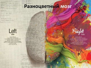 Разноцветный мозг
 