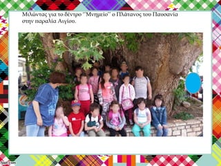 Μιλώντας για το δέντρο ‘’Μνημείο’’ ο Πλάτανος του Παυσανία
στην παραλία Αιγίου.
 