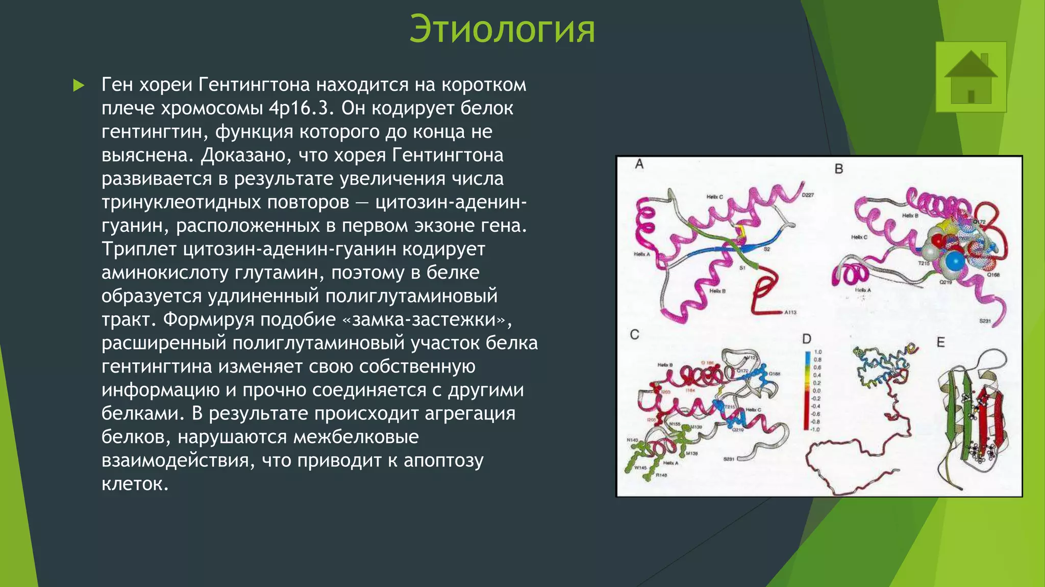 degenerative chorea | PPT