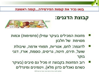 ‫הבריאות‬ ‫משרד‬ ,‫הציבור‬ ‫בריאות‬ ‫שרותי‬ ,‫לתזונה‬ ‫המחלקה‬2010
:‫הדגנים‬ ‫קבוצת‬
‫וכמות‬ (‫)פחמימות‬ ‫עמילן‬ ‫בעיקר‬ ‫המכילים‬ ‫מזונות‬
‫חלבון‬ ‫של‬ ‫מסוימת‬
‫שיבולת‬ ,‫אדמה‬ ‫תפוחי‬ ,‫אטריות‬ ,‫לחם‬ :‫לדוגמה‬
‫דגני‬ ,‫אורז‬ ,‫כוסמת‬ ,‫גריסים‬ ,‫חיטה‬ ,‫תירס‬ ,‫שועל‬
‫בוקר‬
‫)בעיקר‬ ‫סיבים‬ ‫גם‬ ‫מכיל‬ ‫זו‬ ‫בקבוצה‬ ‫המזונות‬ ‫רוב‬
‫ומינרלים‬ ‫ויטמינים‬ ,(‫מלא‬ ‫כדגן‬ ‫נאכלים‬ ‫כשהם‬
‫ראשונה‬ ‫הפירמידה...קומה‬ ‫קומות‬ ‫את‬ ‫נכיר‬ ‫בואו‬
 