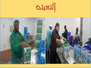 بيت التعبئة