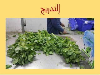 بيت التعبئة