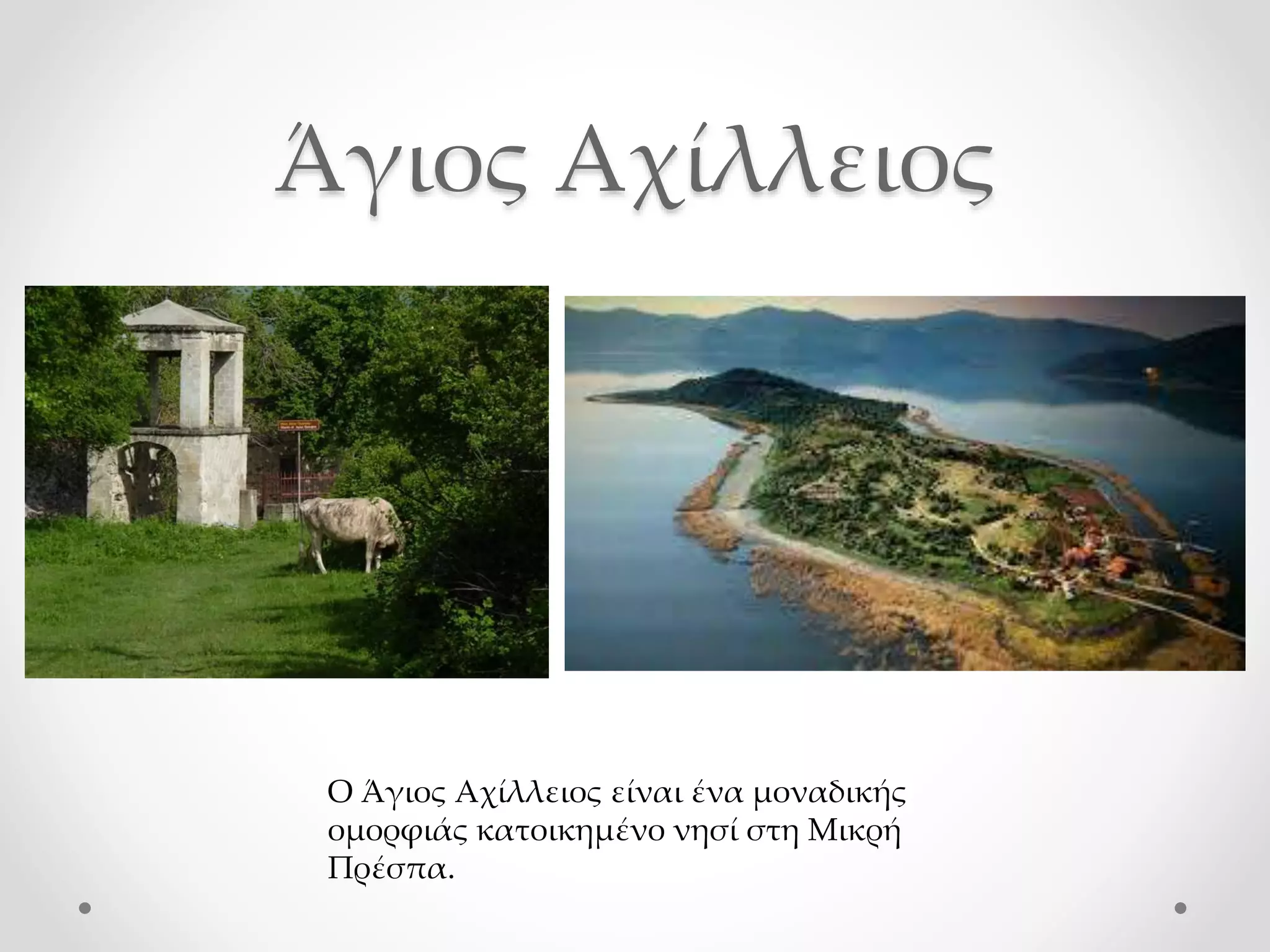 Άγιος Αχίλλειος
Ο Άγιος Αχίλλειος είναι ένα μοναδικής
ομορφιάς κατοικημένο νησί στη Μικρή
Πρέσπα.
 