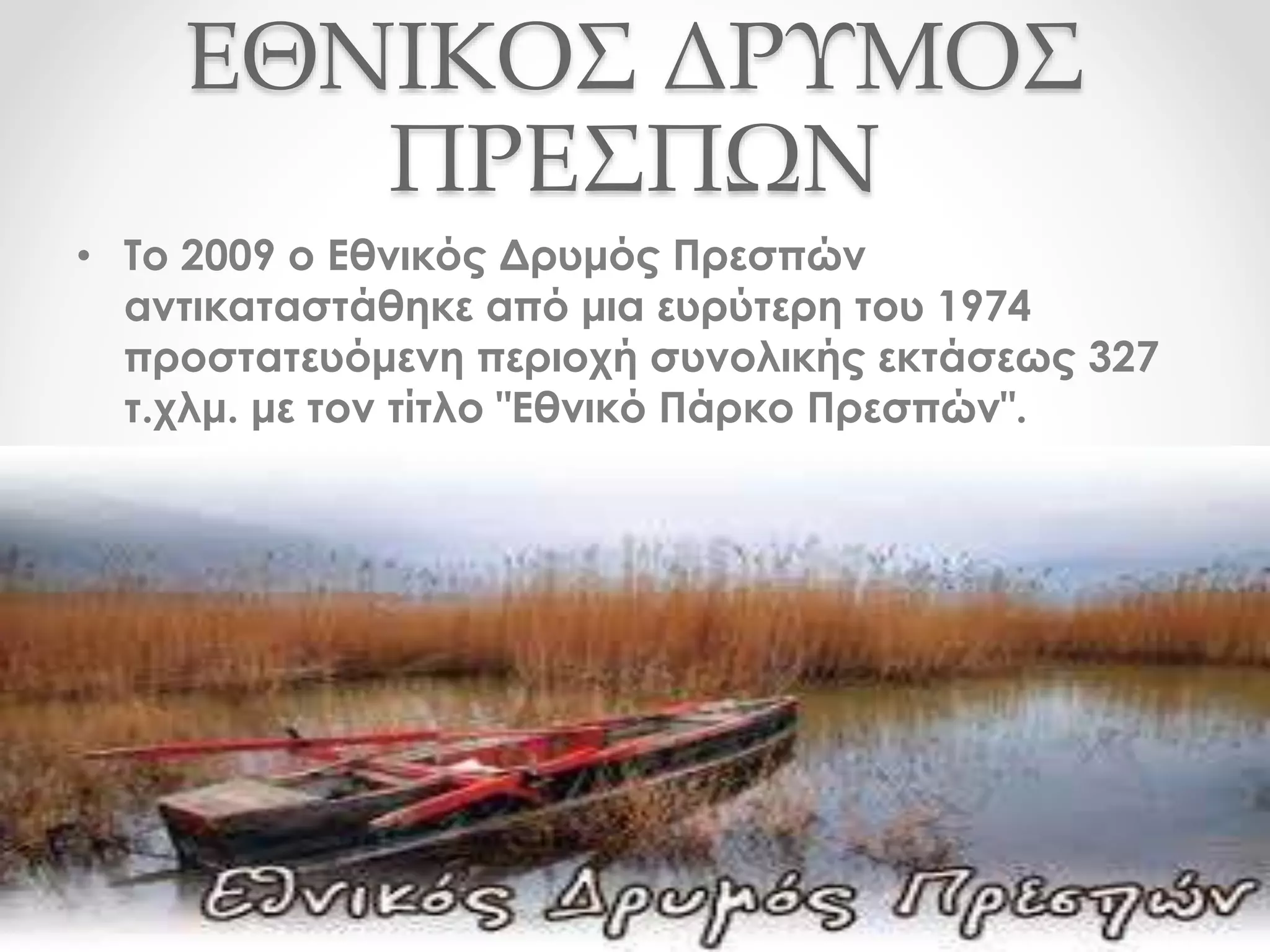 ΕΘΝΙΚΟΣ ΔΡΥΜΟΣ
ΠΡΕΣΠΩΝ
• Το 2009 ο Εθνικός Δρυμός Πρεσπών
αντικαταστάθηκε από μια ευρύτερη του 1974
προστατευόμενη περιοχή συνολικής εκτάσεως 327
τ.χλμ. με τον τίτλο "Εθνικό Πάρκο Πρεσπών".
 