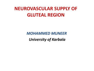 NEUROVASCULAR SUPPLY OF
GLUTEAL REGION
MOHAMMED MUNEER
University of Karbala
 