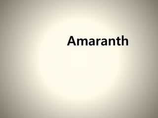 Amaranth
 