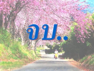 การปฐมȨ๶ทศ
