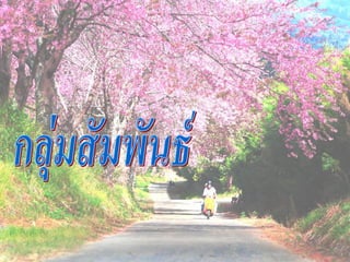 การปฐมȨ๶ทศ