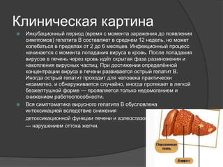 гепатит в | PPT