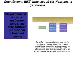 Дослідження ШКТ. Шлунковий сік. Нормальна
фізіологія
Шлунковий сік
– секрет
трубчатих
залоз, що
знаходяться
у слизовій
оболонці
шлунку
За добу у людини відділяється до 2 л
шлункового соку. Кількість, склад і
властивості залежить від характеру їжі.
Шлунковий соку активізується, коли до
крові починає надходити гормон гастрин,
 