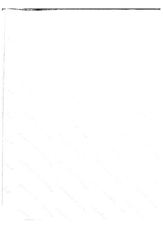 x mmw free tr 3 sp 鍍规牸