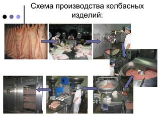 Автоматы для формования колбасных изделий | PPT