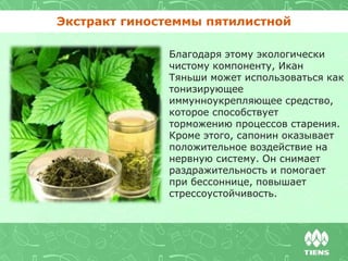 Экстракт гиностеммы пятилистной
Благодаря этому экологически
чистому компоненту, Икан
Тяньши может использоваться как
тонизирующее
иммунноукрепляющее средство,
которое способствует
торможению процессов старения.
Кроме этого, сапонин оказывает
положительное воздействие на
нервную систему. Он снимает
раздражительность и помогает
при бессоннице, повышает
стрессоустойчивость.
 