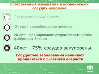 Естественные изменения в кровеносных
сосудах человека
При рождении сосуды гладкие
3 года - высвобождение липидов
20 лет - формирование атеросклеротических
фиброзных бляшек
40лет - 75% сосудов закупорены
Сосудистые заболевания начинают
проявляться с 5-летнего возраста
 
