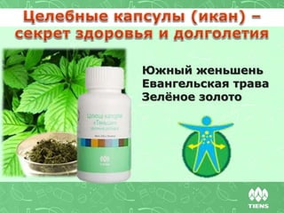 Южный женьшень
Евангельская трава
Зелёное золото
 