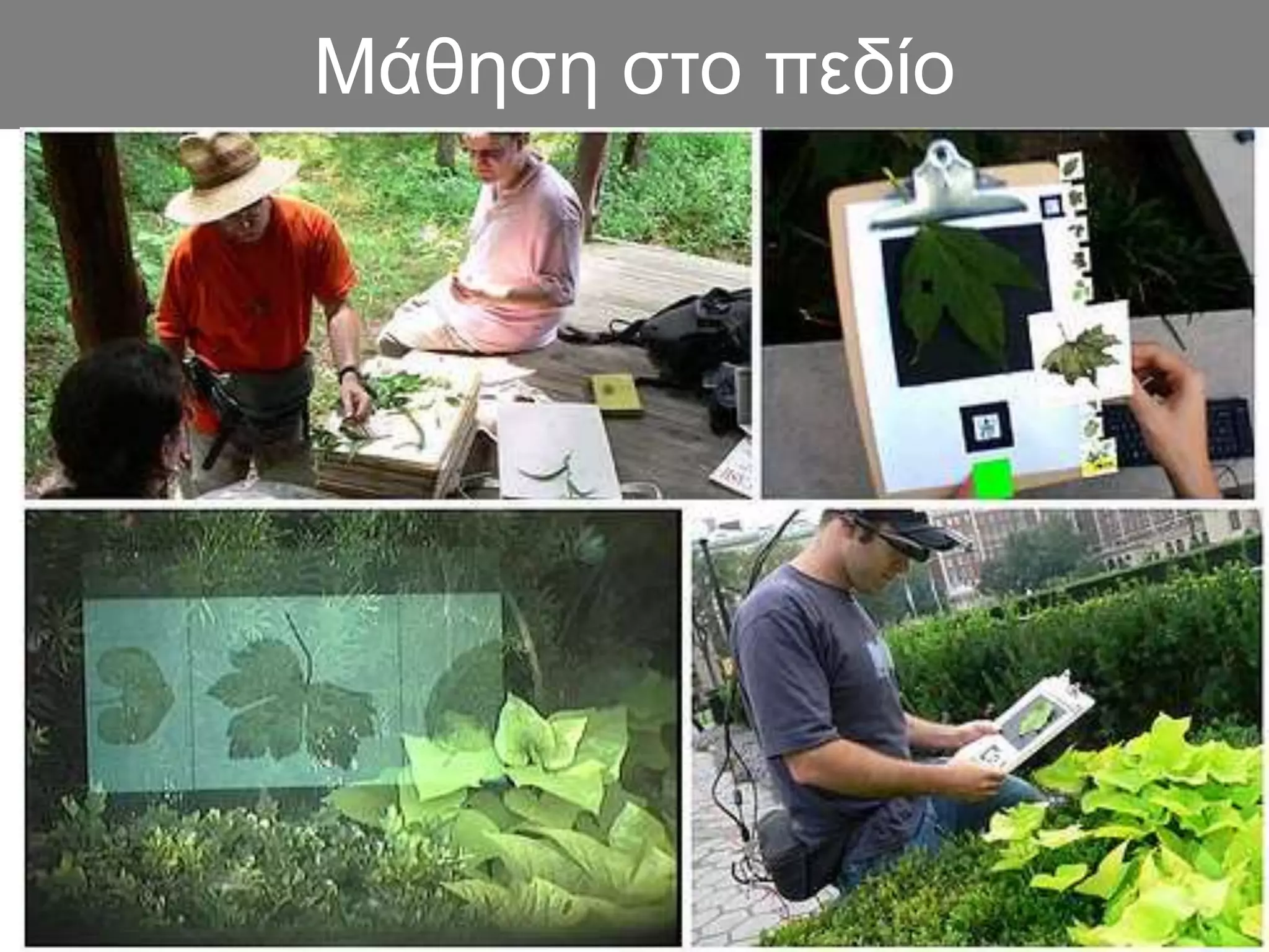 Μάθηση στο πεδίο
 