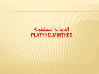 ‫المفلطحة‬ ‫الديدان‬
PLATYHELMINTHES
 