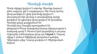 Գետերի մասին
Գետի սկիզբը կոչվում է ակունք: Ակունքը կարող է
լինել աղբյուր, լիճ և սարցադաշտ: Այն մասը որտեղ
գետը թափվում է լիճը կամ ծովը կոչվում է
գետաբերան:Այն գետերը և առավակները որոնք
թափվում են գլխավոր գետը կոչվում են վտակներ:
Գետերի ջրերը քաղցրահամ են:
Գետերի ջուր մարդիկ օգտագործում են
կենցաղում:Գետը մարդկանց համար ձկնորսության և
հանգստի գոտի է: Գետում կան կեդանիներ և բույսեր:
Աշխարհի ամենաերկար գետը դա Նեղոսն է: Նեղոսը
սկիզբ է առնում Աֆրիկայի կետրոնում գտնվող
Վիկտորիա լճից: Նեղոսը թափվում է Միջեկրական
ծովում:
 