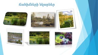 Ճահիճների նկարներ
 