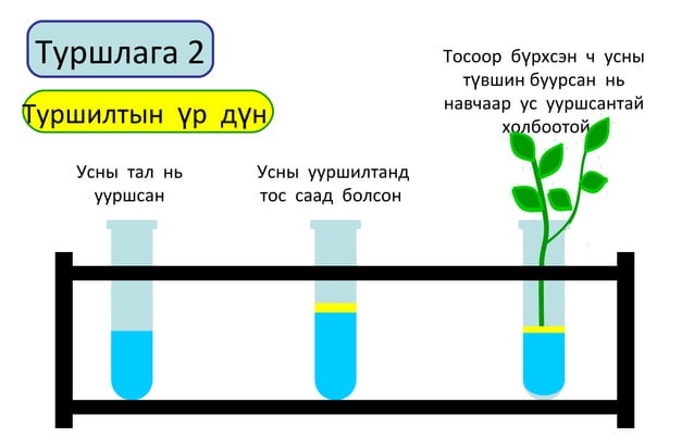 навчаар ус уурших