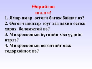 өсгөгч багаж | PPT