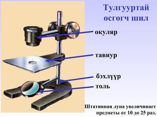 өсгөгч багаж | PPT
