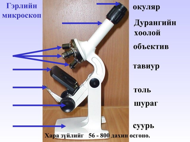 өсгөгч багаж