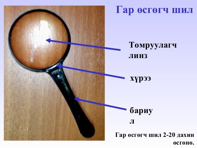 өсгөгч багаж