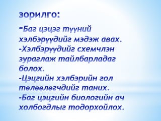 баг цэцэг түүний хэлбэрүүд | PPT