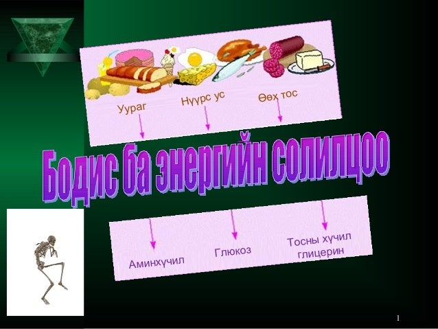 бодис ба энергийн солилцоо