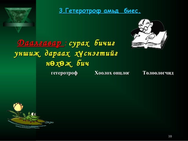 бодис ба энергийн солилцоо