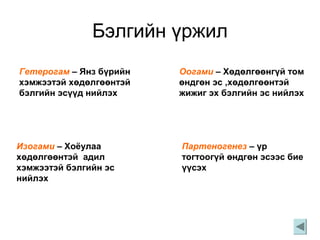 Бэлгийн үржил
Гетерогам – Янз бүрийн
хэмжээтэй хөдөлгөөнтэй
бэлгийн эсүүд нийлэх
Оогами – Хөдөлгөөнгүй том
өндгөн эс ,хөдөлгөөнтэй
жижиг эх бэлгийн эс нийлэх
Изогами – Хоёулаа
хөдөлгөөнтэй адил
хэмжээтэй бэлгийн эс
нийлэх
Партеногенез – үр
тогтоогүй өндгөн эсээс бие
үүсэх
 