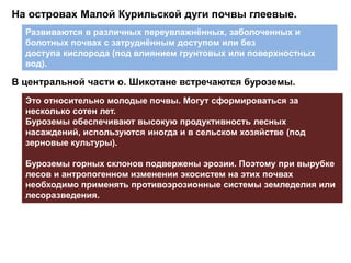 На островах Малой Курильской дуги почвы глеевые.
Развиваются в различных переувлажнённых, заболоченных и
болотных почвах с затруднённым доступом или без
доступа кислорода (под влиянием грунтовых или поверхностных
вод).
В центральной части о. Шикотане встречаются буроземы.
Это относительно молодые почвы. Могут сформироваться за
несколько сотен лет.
Буроземы обеспечивают высокую продуктивность лесных
насаждений, используются иногда и в сельском хозяйстве (под
зерновые культуры).
Буроземы горных склонов подвержены эрозии. Поэтому при вырубке
лесов и антропогенном изменении экосистем на этих почвах
необходимо применять противоэрозионные системы земледелия или
лесоразведения.
 
