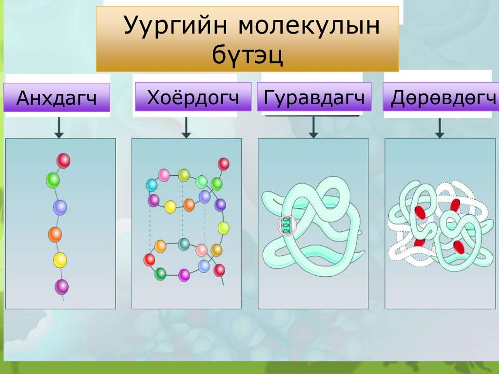 эсийн хими найрлага бататгал