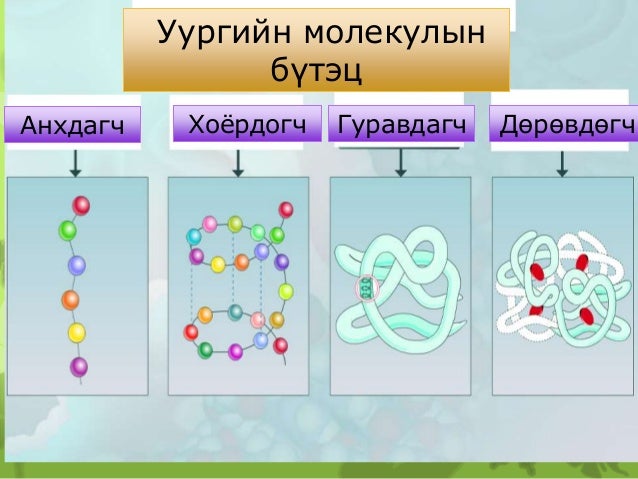 эсийн хими найрлага бататгал