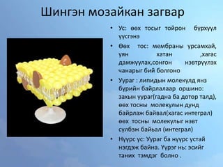 эсийн бүрхүүл ба цитоплазм | PPT