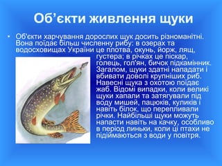 Коли краще набирати воду на водохреща