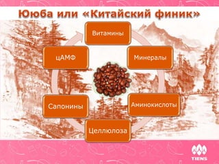 Витамины
Минералы
Аминокислоты
Целлюлоза
Сапонины
цАМФ
 