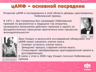 Открытие цАМФ и исследования в этой области дважды удостаивались
Нобелевской премии.
В 1971 г. Эрл Сазерленд был награждён Нобелевской
премией по физиологии и медицине «за открытия,
касающиеся механизмов действия гормонов и одного из
фундаментальных принципов практически всех процессов
жизнедеятельности»
Эрик Кэндел в результате исследований обнаружил, что
цАМФ может оживлять клетки мозга.
- Снимает усталость клеток мозга.
- Замедляет процесс старения клеток мозга.
- Стимулирует преобразование кратковременной памяти в
долговременную.
В связи с этим в 2000 году Кэндел получил Нобелевскую
премию
 