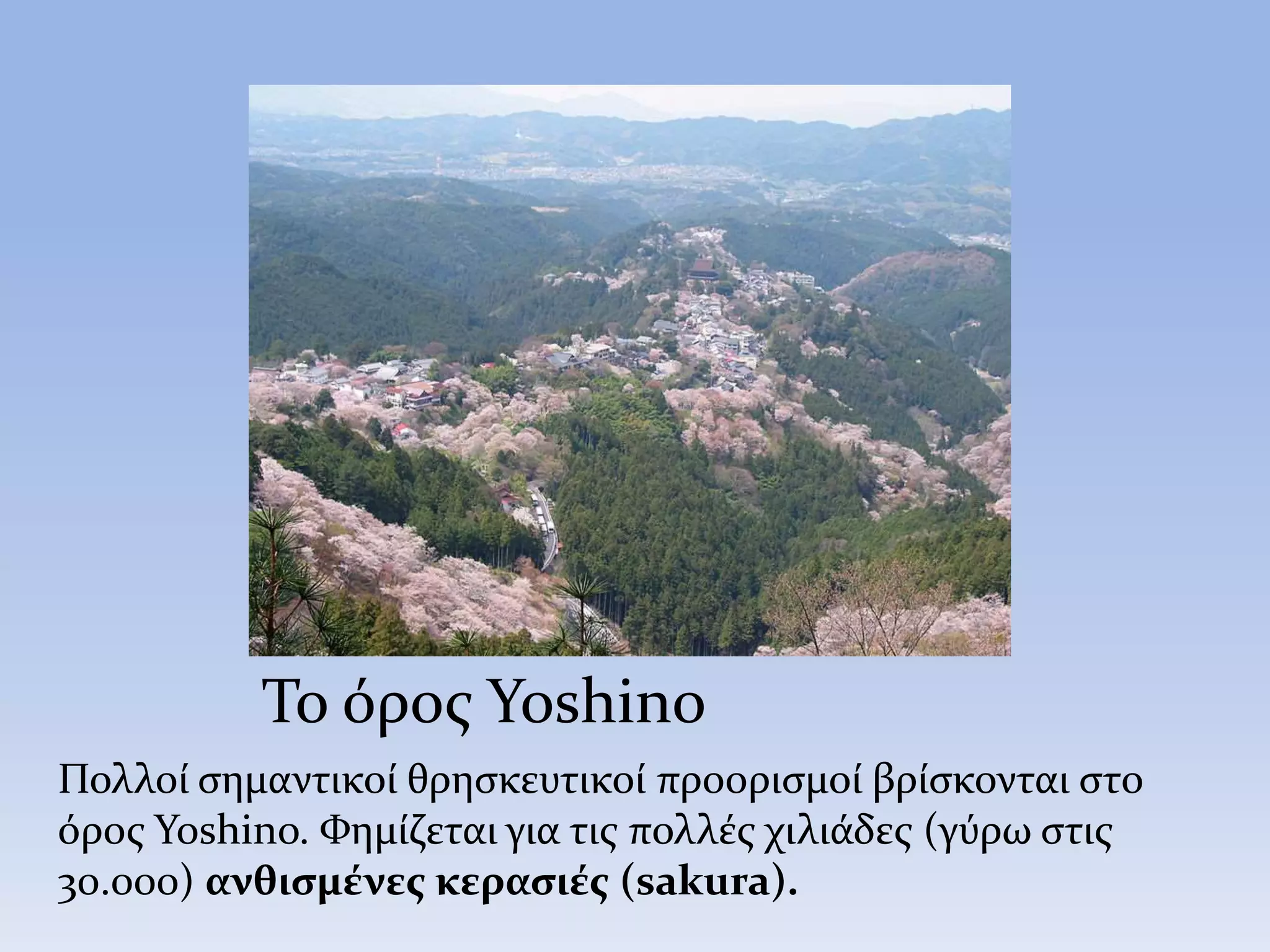 Το όρος Yoshino
Πολλοί σημαντικοί θρησκευτικοί προορισμοί βρίσκονται στο
όρος Yoshino. Φημίζεται για τις πολλές χιλιάδες (γύρω στις
30.000) ανθισμένες κερασιές (sakura).
 