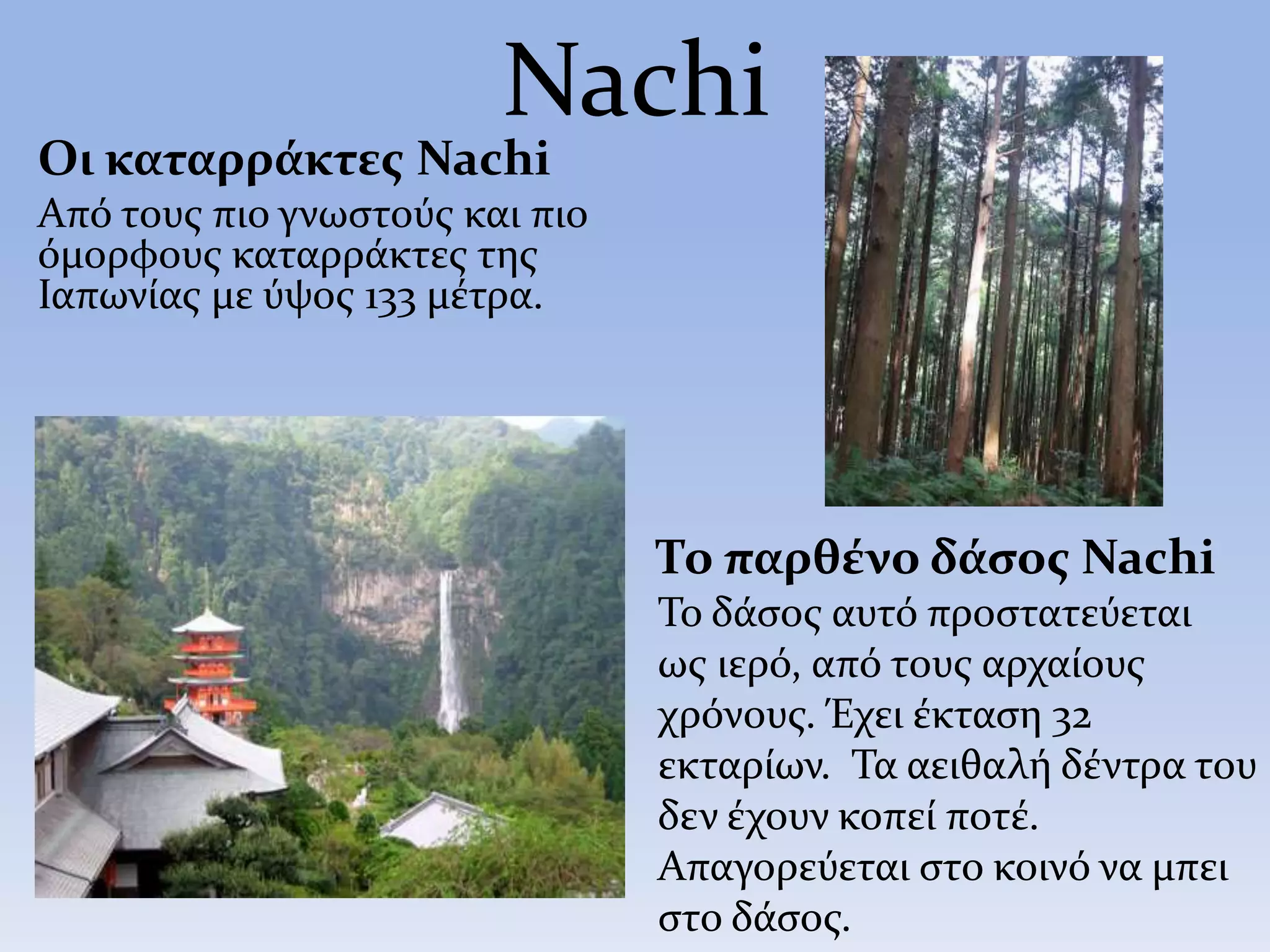 Nachi
Οι καταρράκτες Nachi
Από τους πιο γνωστούς και πιο
όμορφους καταρράκτες της
Ιαπωνίας με ύψος 133 μέτρα.
Το παρθένο δάσος Nachi
Το δάσος αυτό προστατεύεται
ως ιερό, από τους αρχαίους
χρόνους. Έχει έκταση 32
εκταρίων. Τα αειθαλή δέντρα του
δεν έχουν κοπεί ποτέ.
Απαγορεύεται στο κοινό να μπει
στο δάσος.
 