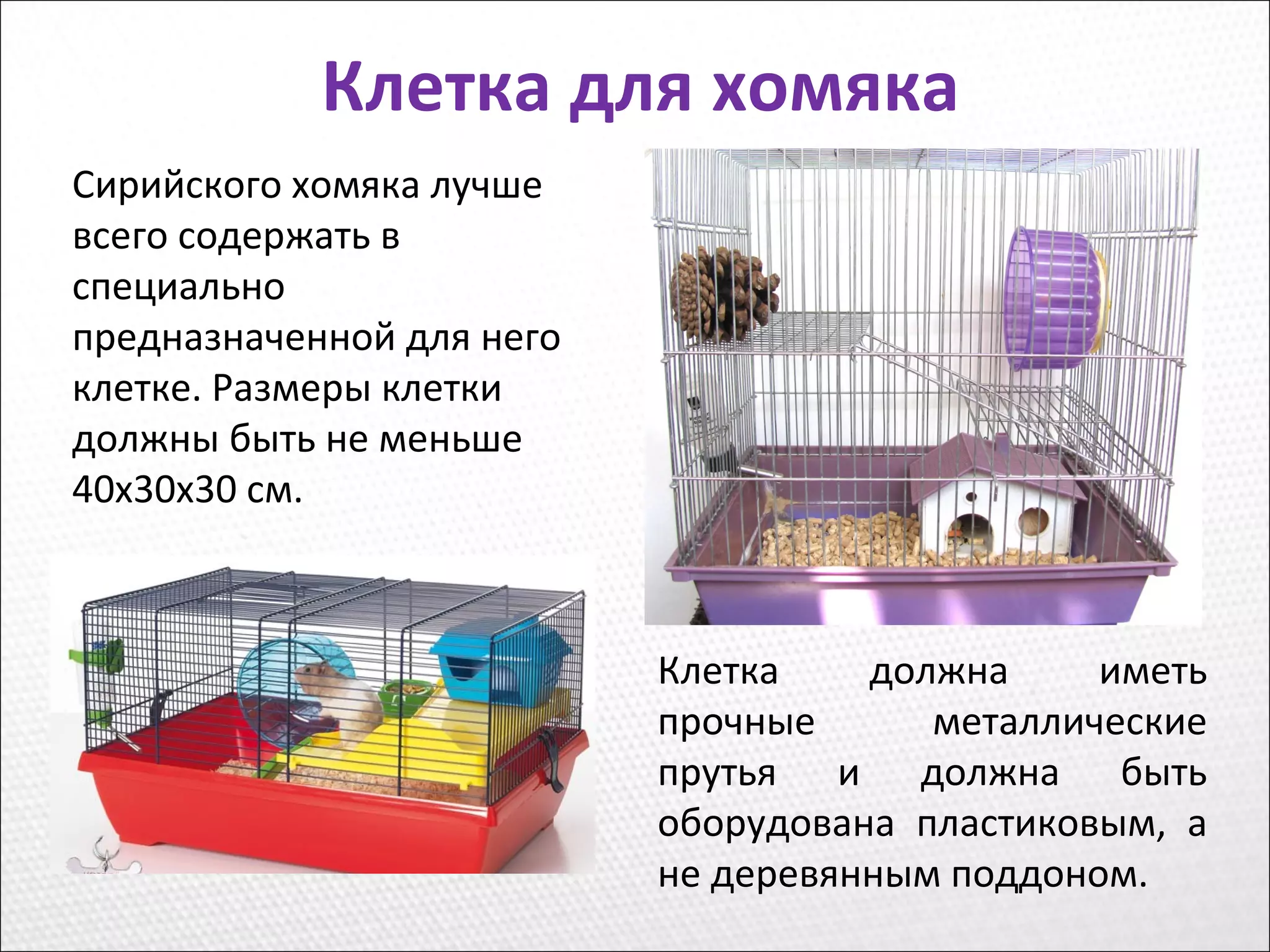 Клетка для хомяка
Клетка должна иметь
прочные металлические
прутья и должна быть
оборудована пластиковым, а
не деревянным поддоном.
Сирийского хомяка лучше
всего содержать в
специально
предназначенной для него
клетке. Размеры клетки
должны быть не меньше
40х30х30 см.
 