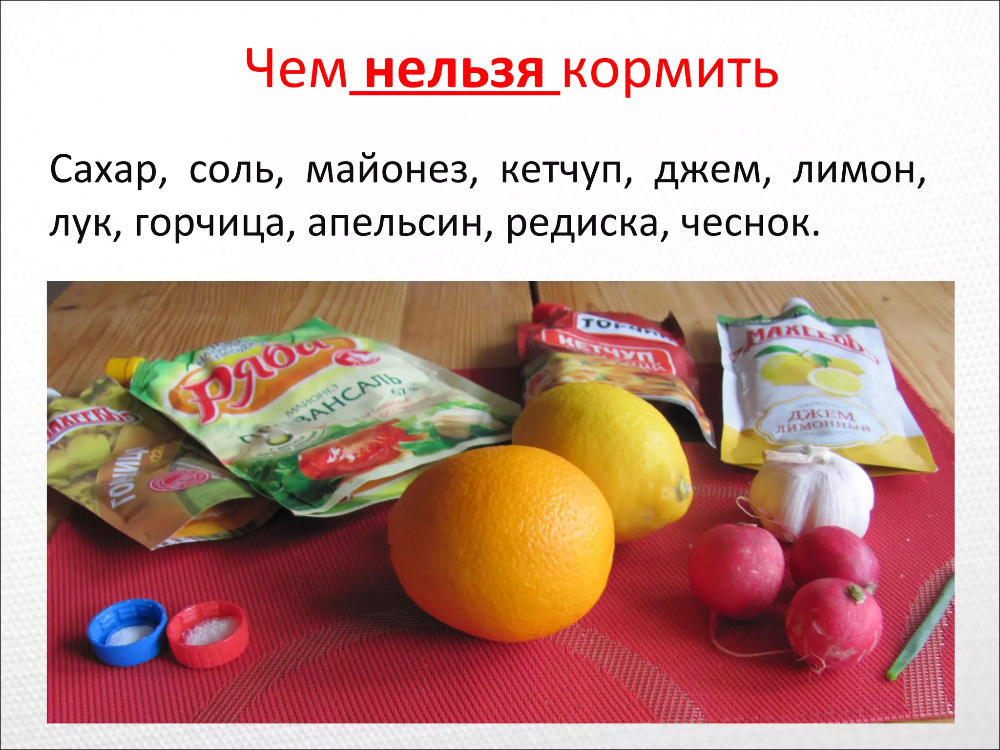 Чем нельзя кормить
Сахар, соль, майонез, кетчуп, джем, лимон,
лук, горчица, апельсин, редиска, чеснок.
 