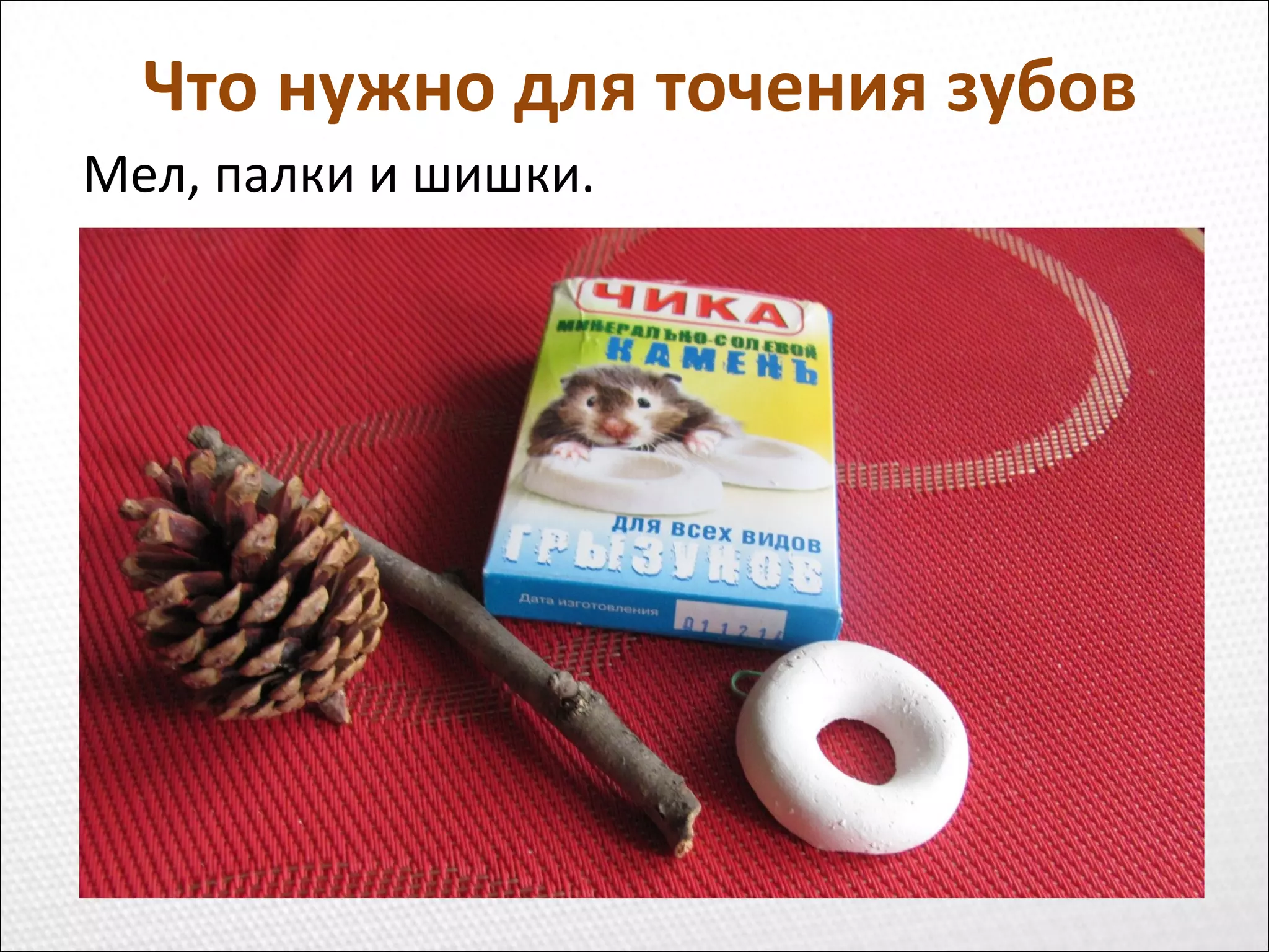 Что нужно для точения зубов
Мел, палки и шишки.
 