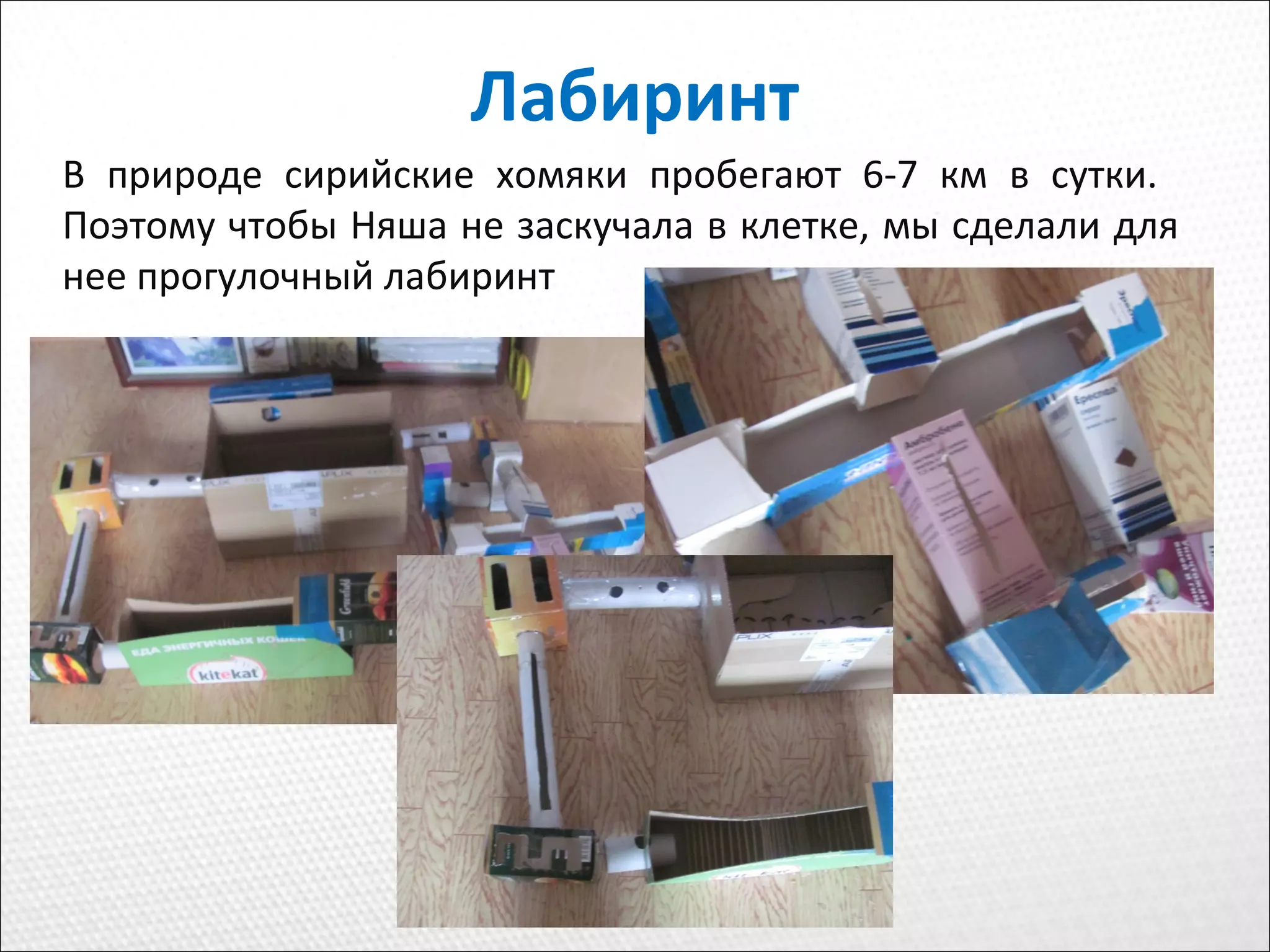 Лабиринт
В природе сирийские хомяки пробегают 6-7 км в сутки.
Поэтому чтобы Няша не заскучала в клетке, мы сделали для
нее прогулочный лабиринт
 