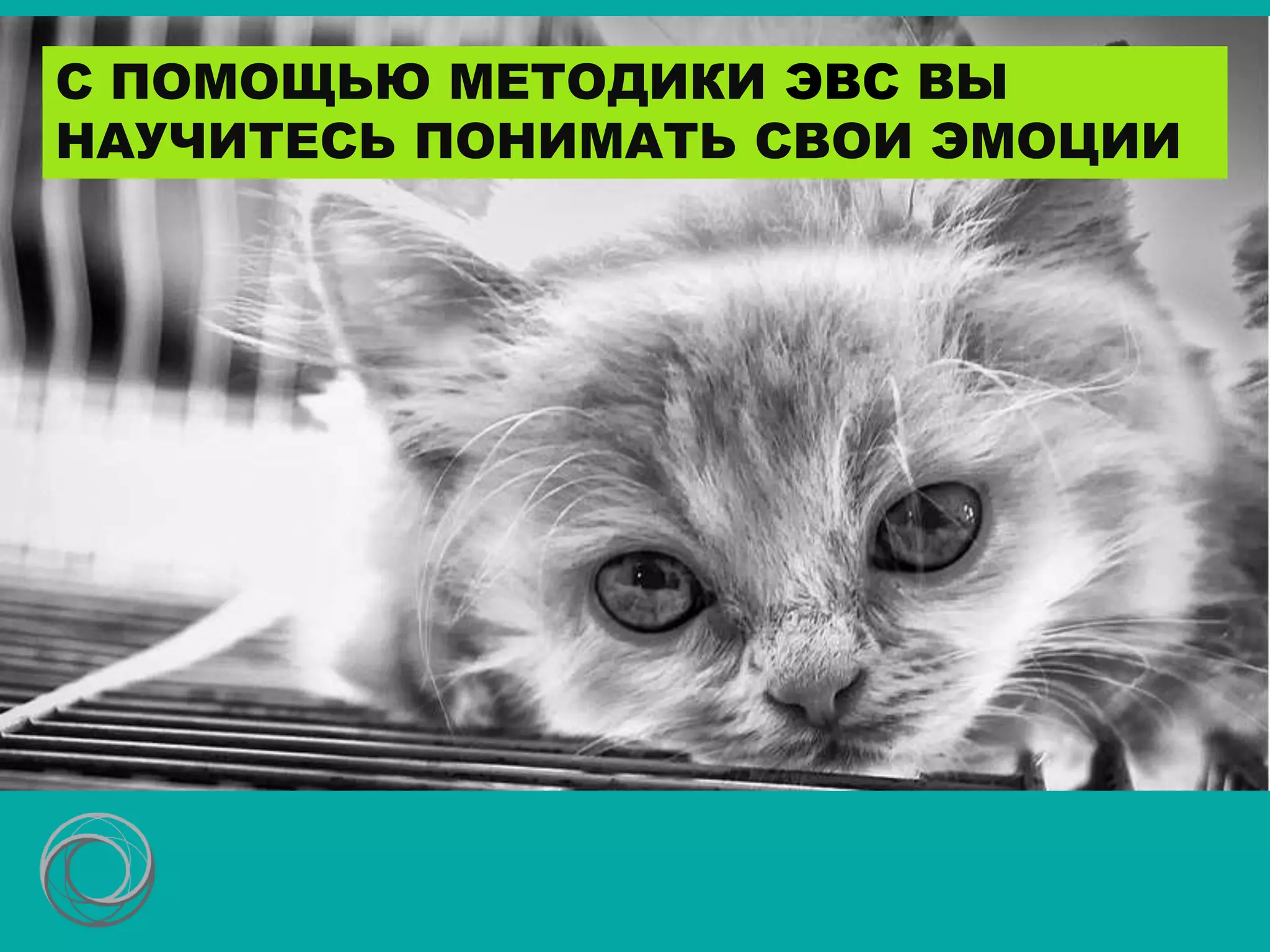 С ПОМОЩЬЮ МЕТОДИКИ ЭВС ВЫ
НАУЧИТЕСЬ ПОНИМАТЬ СВОИ ЭМОЦИИ
 