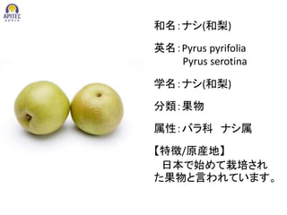 和名：ナシ(和梨)
属性：バラ科 ナシ属
【特徴/原産地】
日本で始めて栽培され
た果物と言われています。
英名：Pyrus pyrifolia
Pyrus serotina
学名：ナシ(和梨)
分類：果物
 