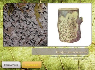 Таллом в виде мелкозернистой оливково-серой
матовой корочки.
СледующийПредыдущий
 